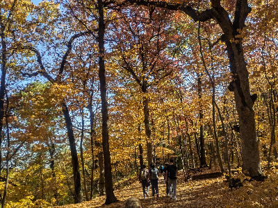 Starved Rock State Park: Autumnal Edition - 10/10/2026